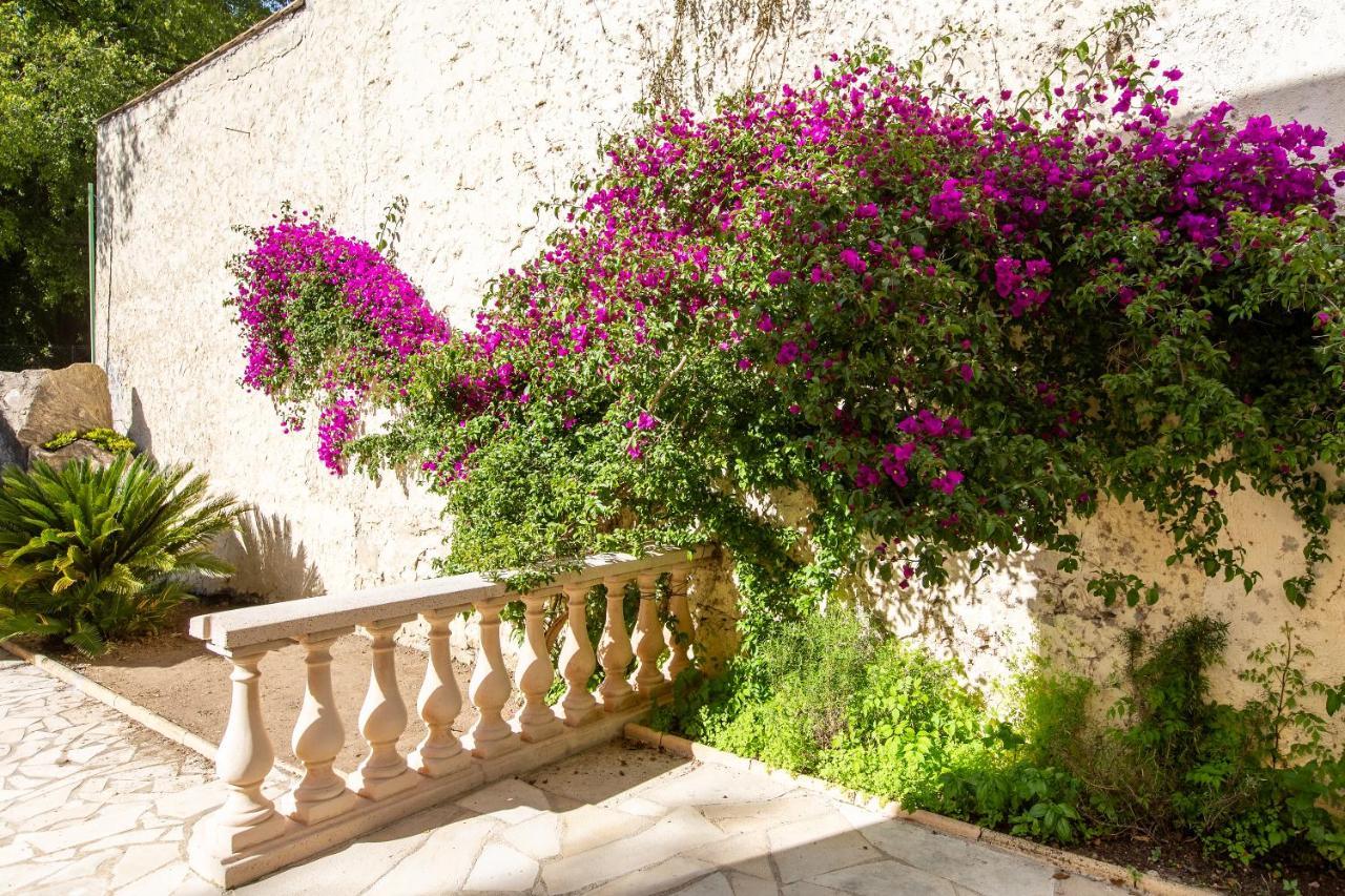 Cannes Villa Simone Luaran gambar